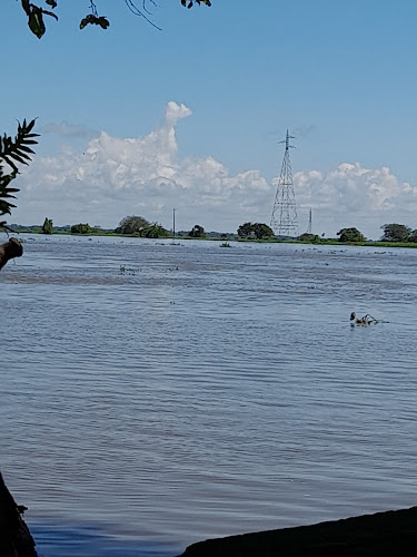 Opinii despre Restaurante el Marino în Santa Lucía - Gastronomía y hostelería