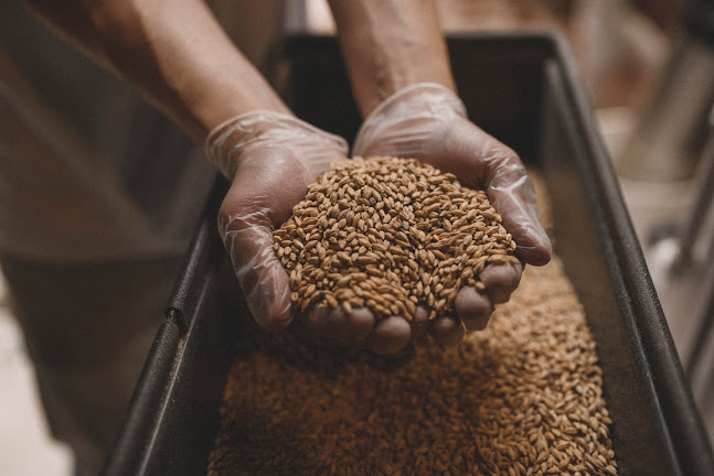 Sierra Blanca Cervecería