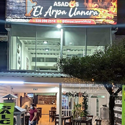 EL ARPA LLANERA la primera