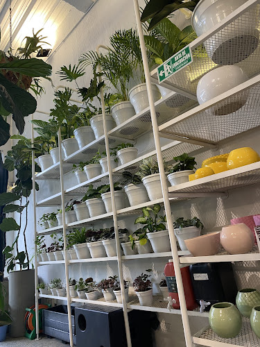 Cafe La Mata - Gastronomía y hostelería