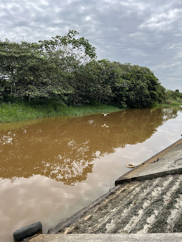 Restaurante el malecón - Gastronomía y hostelería