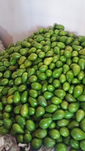 Cra. 16 #No. 20-10 A60, La Granja, Valledupar, Cesar