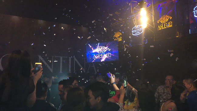 ASI FUE PALMIRA - Palmira