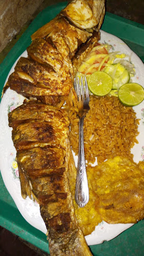 Comentarii opinii despre El Pez Que Canta