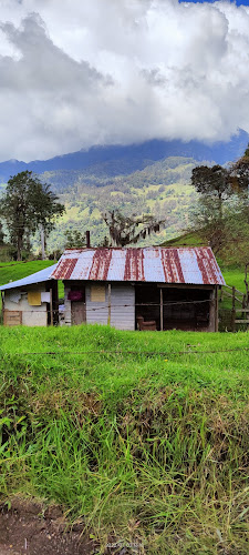 Panadería Los Trigales - Zipaquirá