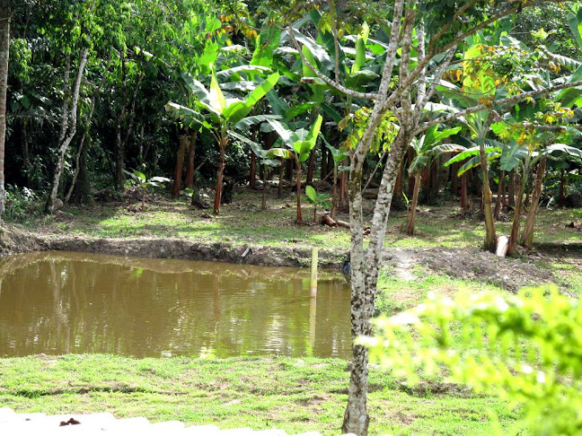 Comentarii opinii despre Restaurante El Botalón