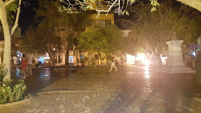 Bananas Disco Show - Santa Marta