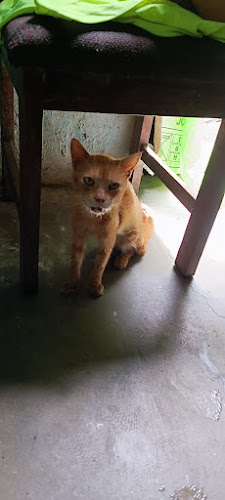 Cl. 20 #2-2 a 2-102, La Dorada, Caldas