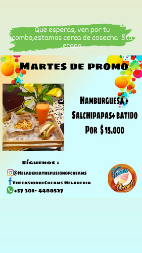 The Fusion of Creams Heladería - Gastronomía y hostelería