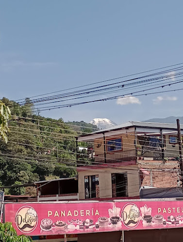 Calle 20 Sur #31-09, Miramar, Ibagué, Tolima