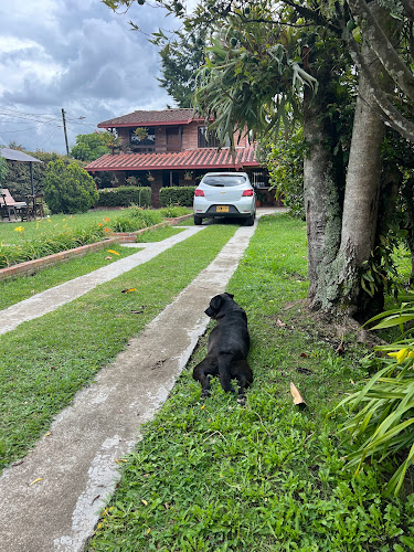 Opinii despre El Tambo Cafe-Bar în La Ceja - Gastronomía y hostelería