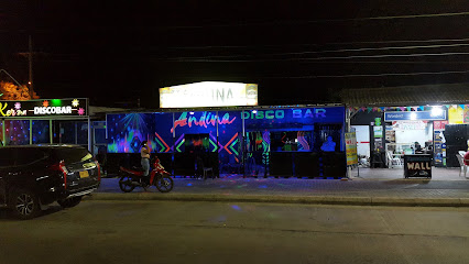 ANDINA DISCO-BAR