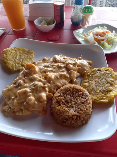 Roots Bar Jhon Jairo Trellez