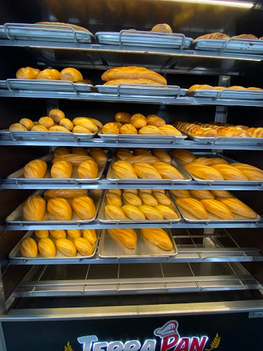 PANADERÍA TERRA PAN