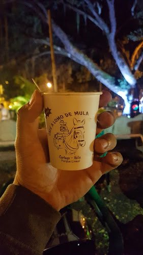 Comentarii opinii despre Cafe a lomo de mula