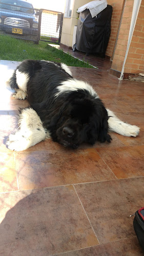 Comentarii opinii despre Panadería y Cafetería Malaca