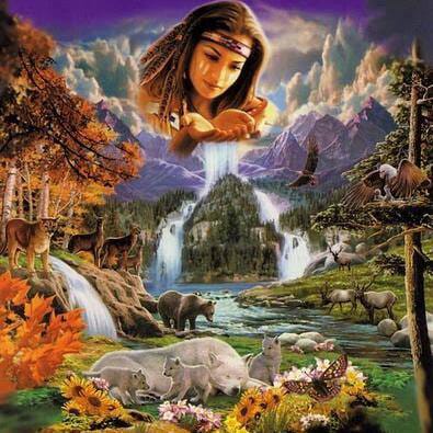 ACEITES ESENCIALES ORGANICOS GIANY - Floridablanca