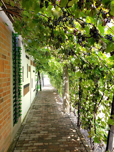 Comentarii opinii despre Casa Grajales S.A.