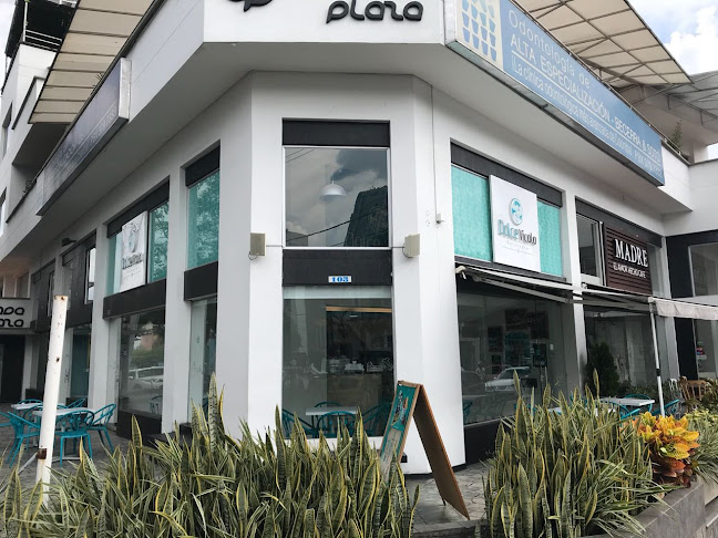 Dolce Vicolo Gelatería Granada - Gastronomía y hostelería