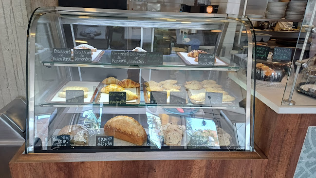 Comentarii opinii despre Samoa