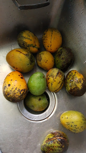 Opinii despre Cafeteria el Mango în Barbosa - Gastronomía y hostelería