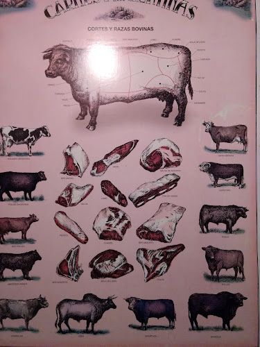 Comentarii opinii despre Lucio Carbón y Vino