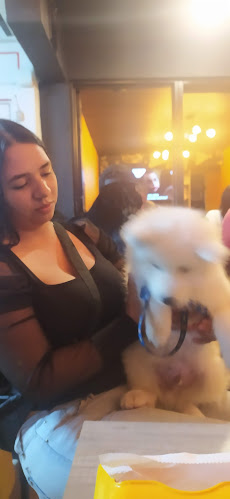 Comentarii opinii despre La Chorizada de Mauro