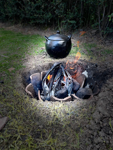 Comentarii opinii despre Tradición Pibil - Fonda mexicana