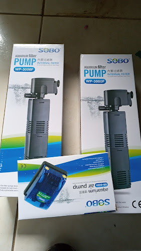 Comentarii opinii despre PECES Y ACUARIOS EDINSON