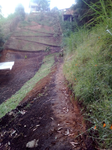 Finca la mancha - Cafeologist - Gastronomía y hostelería