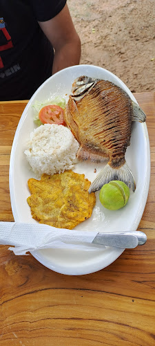 Marina San Miguel De Ayapel - Gastronomía y hostelería