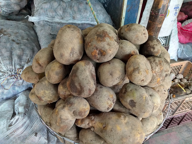 Bodega de Papas El Trébol - Gastronomía y hostelería