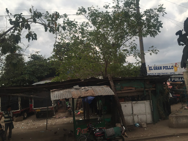 a 31-77, Cl. 40 #31-1, Corozal, Sucre