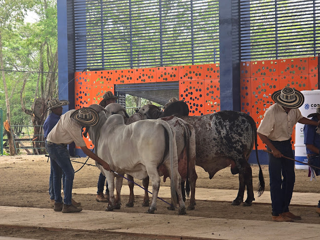 Restaurante El Ranchito de Lucho - Gastronomía y hostelería