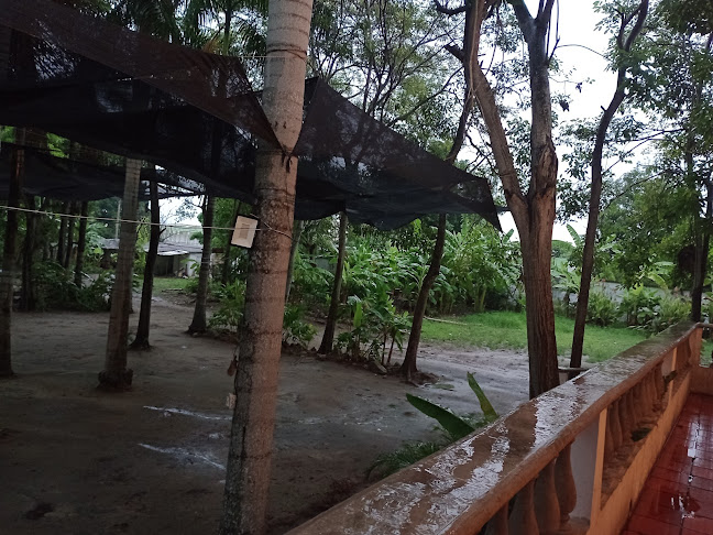 Opinii despre Vivero y Restaurante Jakaranda în Malambo - Gastronomía y hostelería