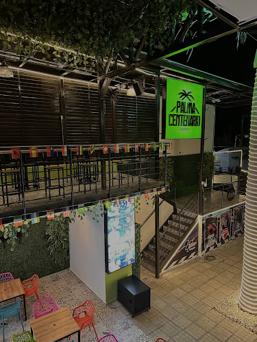 Palma Centenario Girardot