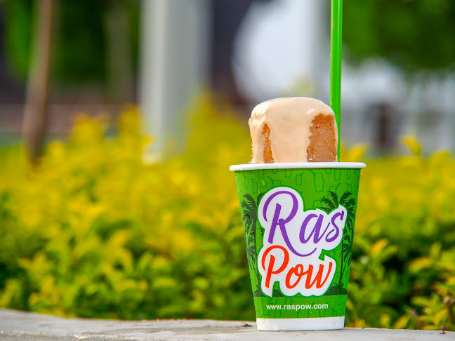 RasPow Zoológico de Barranquilla