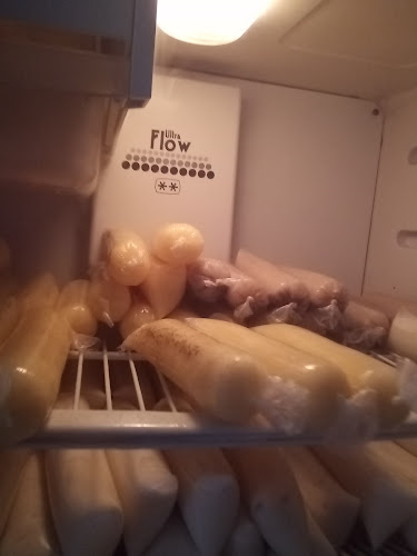 Bolis y Hielos En Yuleidys