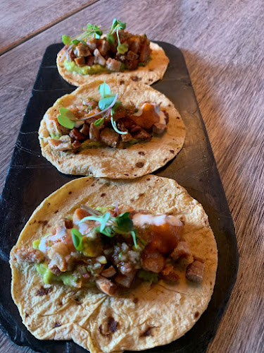 Comentarii opinii despre Celestina