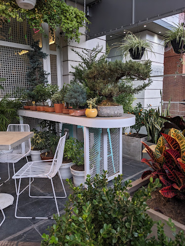 Cafe La Mata - Bogotá