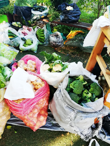 Cl. 41B Sur #7, Zona 7, Envigado, Antioquia