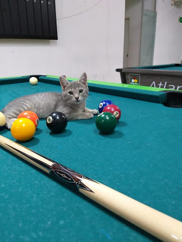 Opinii despre Billares Bola 10 în Pitalito - Gastronomía y hostelería