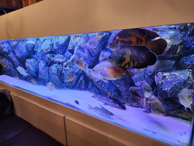 Comentarii opinii despre Míster pizza gourmet gold