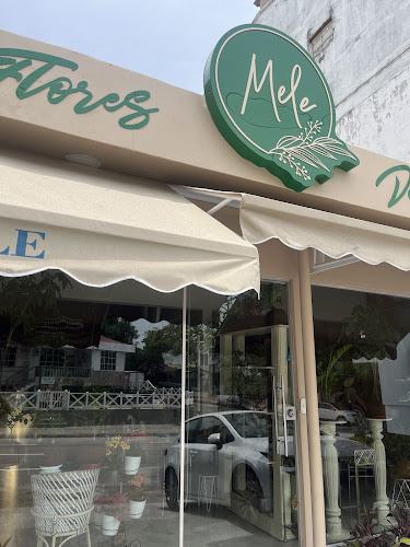 Mele Floristeria y Plantas - Barranquilla