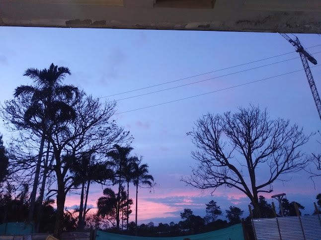 Mall de Comidas - Gastronomía y hostelería