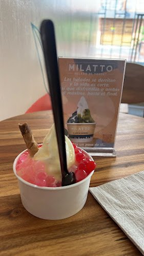 Comentarii opinii despre Milatto Helado de yogurt