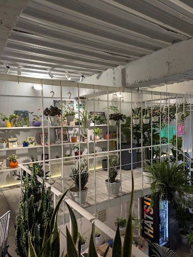 Opinii despre Cafe La Mata în Bogotá - Gastronomía y hostelería