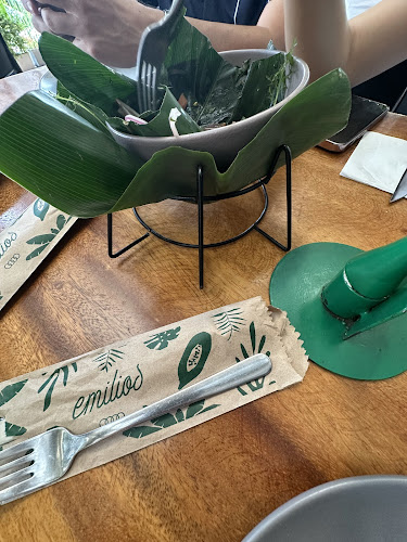 Comentarii opinii despre Emilios Restaurante