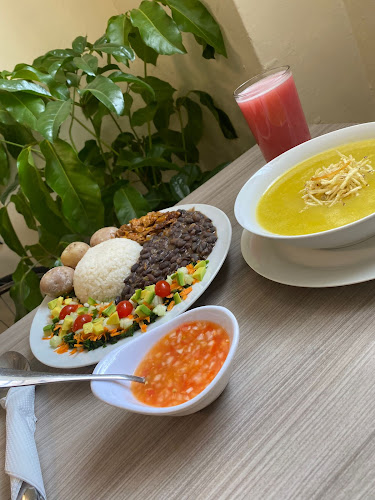 MARVELOUS VEGAN Plant Power Food - Gastronomía y hostelería