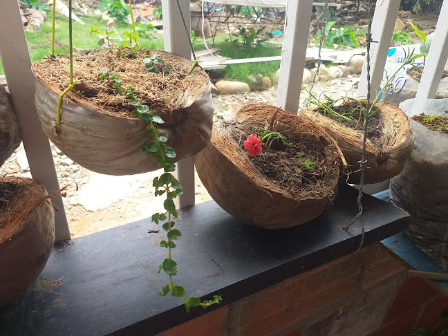 Cl. 29 #28-70, Yopal, Casanare